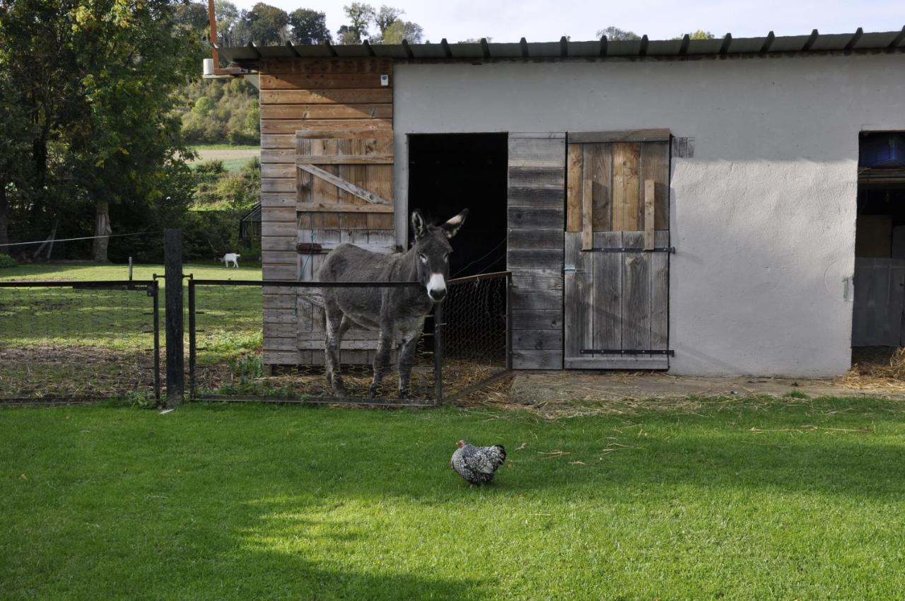 La Maison Du Bonheur "Le Gite" Saint-Ouen-sous-Bailly Zewnętrze zdjęcie