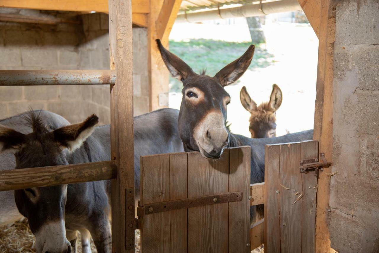 La Maison Du Bonheur "Le Gite" Saint-Ouen-sous-Bailly Zewnętrze zdjęcie